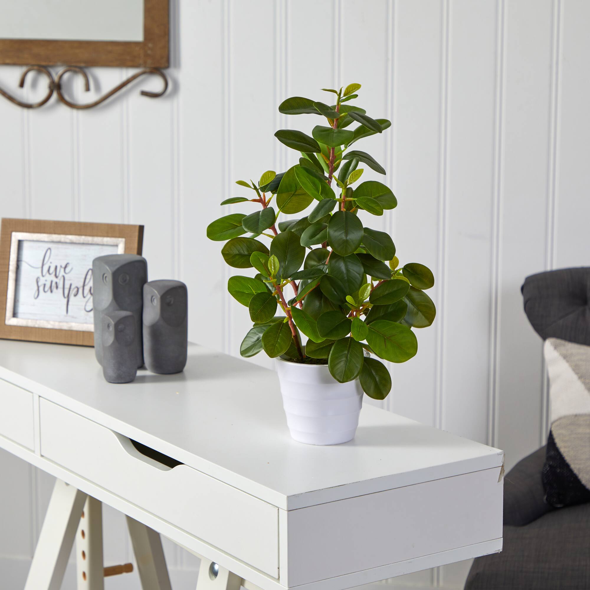 16" Peperomia Plant in Decorative Planter